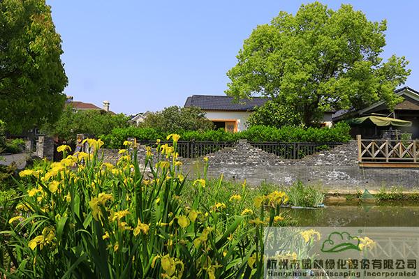 亚洲精品白浆高清久久久久久