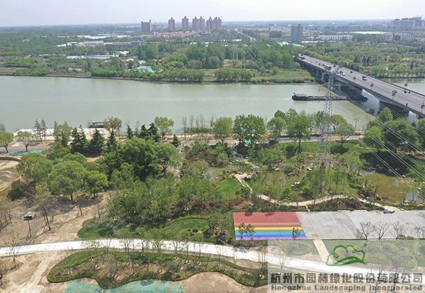 亚洲精品白浆高清久久久久久