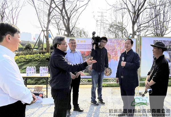 亚洲精品白浆高清久久久久久