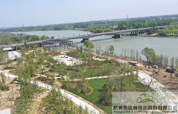 亚洲精品白浆高清久久久久久