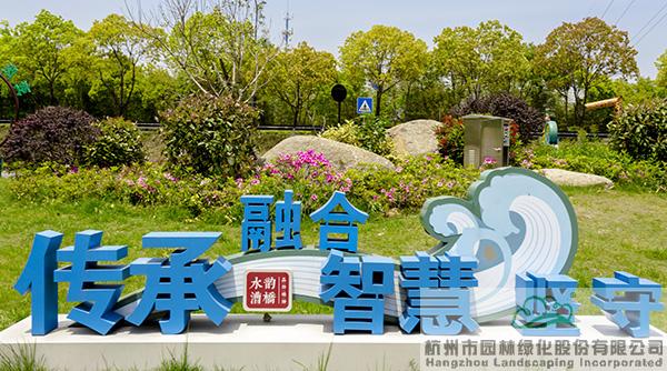 亚洲精品白浆高清久久久久久