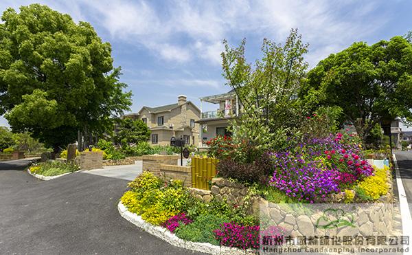 亚洲精品白浆高清久久久久久