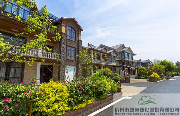 亚洲精品白浆高清久久久久久