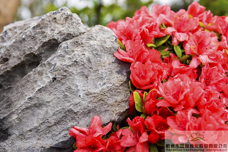 亚洲精品白浆高清久久久久久