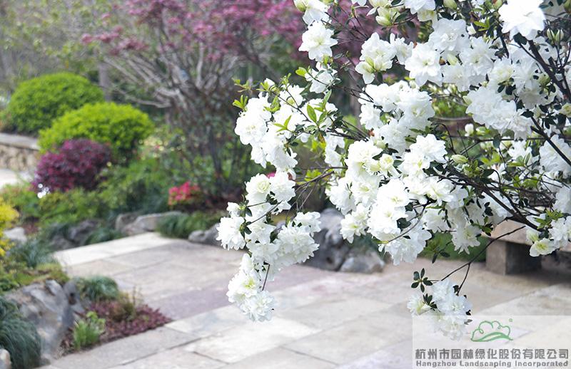 亚洲精品白浆高清久久久久久