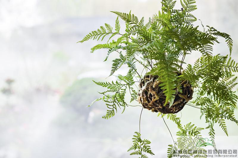 亚洲精品白浆高清久久久久久