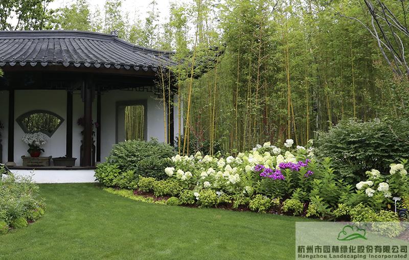 亚洲精品白浆高清久久久久久