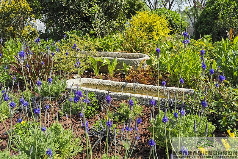 亚洲精品白浆高清久久久久久