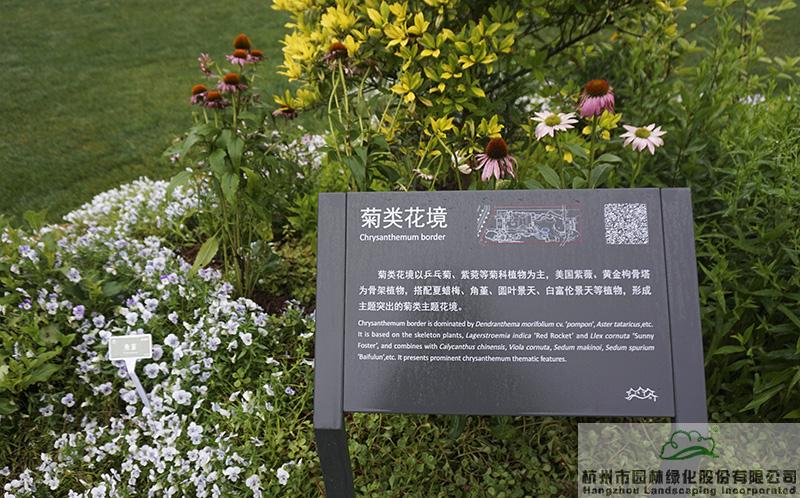 亚洲精品白浆高清久久久久久