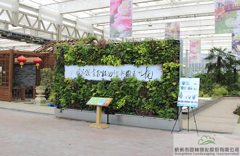 亚洲精品白浆高清久久久久久