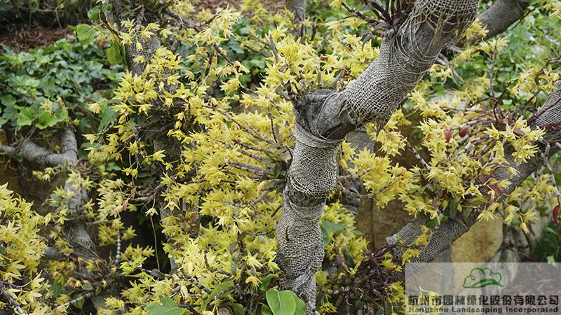 亚洲精品白浆高清久久久久久