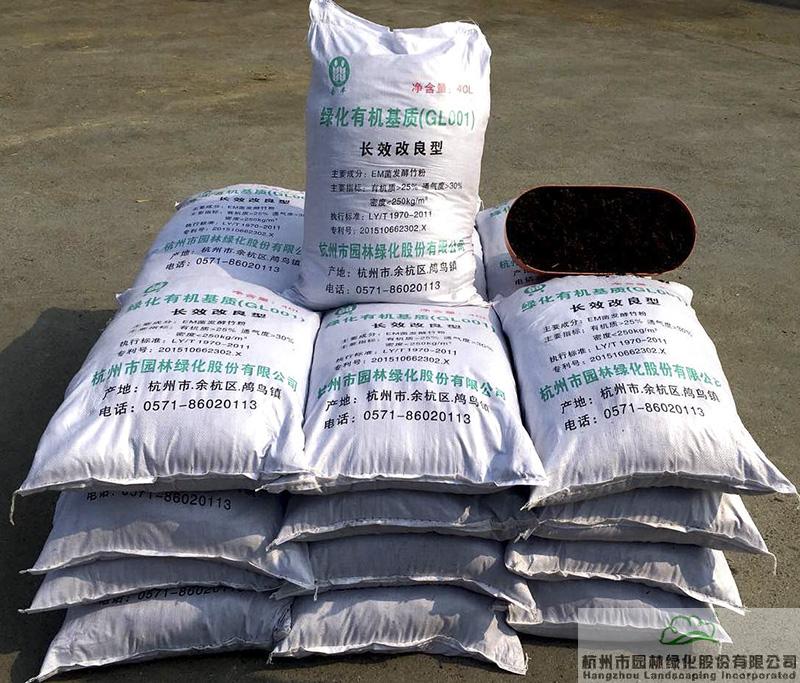 亚洲精品白浆高清久久久久久