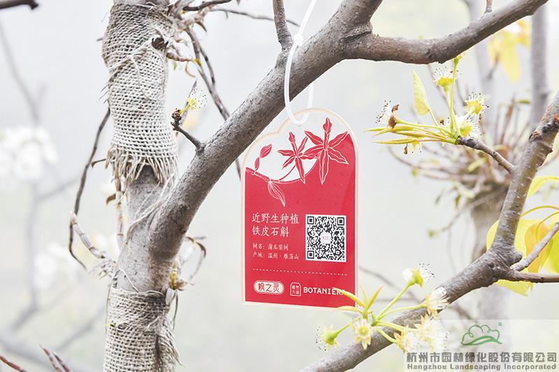 亚洲精品白浆高清久久久久久