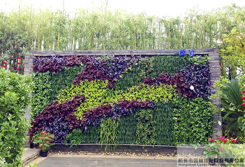 亚洲精品白浆高清久久久久久