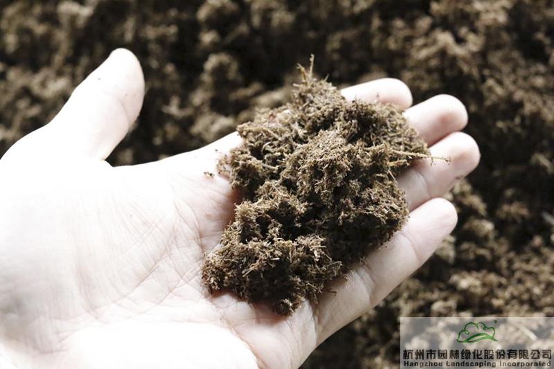 亚洲精品白浆高清久久久久久