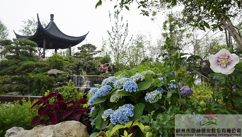 亚洲精品白浆高清久久久久久