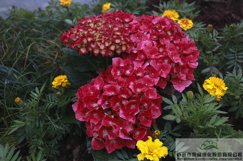 亚洲精品白浆高清久久久久久