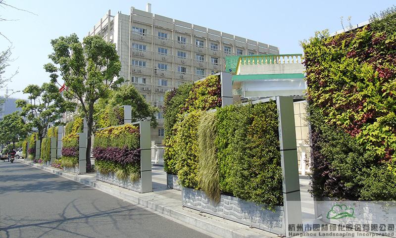 亚洲精品白浆高清久久久久久