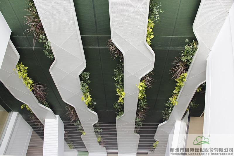 亚洲精品白浆高清久久久久久