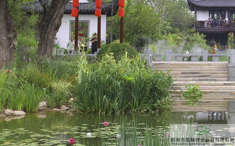 亚洲精品白浆高清久久久久久