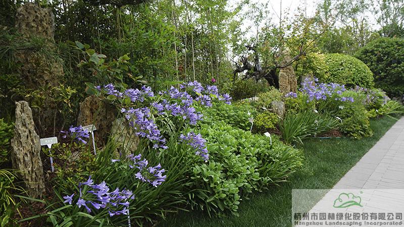 亚洲精品白浆高清久久久久久