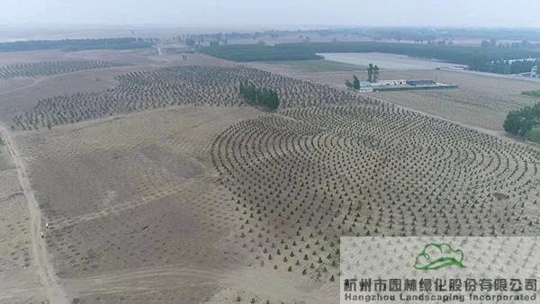 亚洲精品白浆高清久久久久久