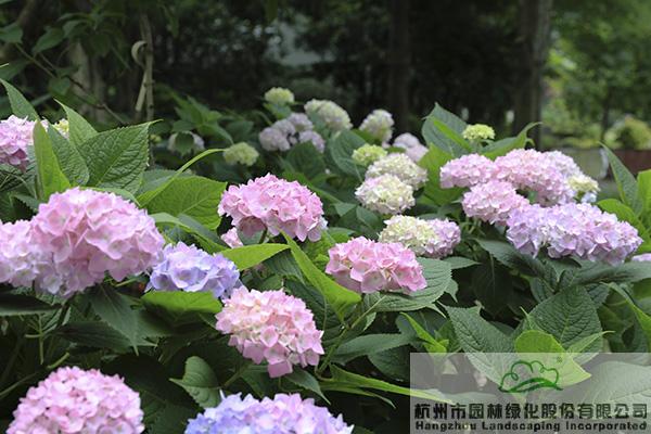 亚洲精品白浆高清久久久久久