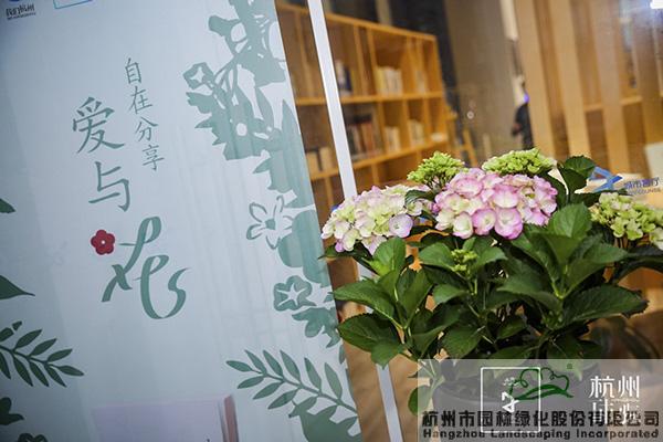 亚洲精品白浆高清久久久久久