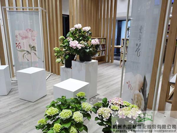 亚洲精品白浆高清久久久久久