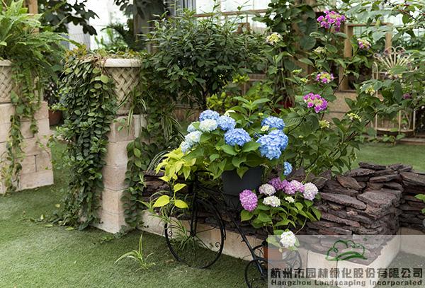 亚洲精品白浆高清久久久久久