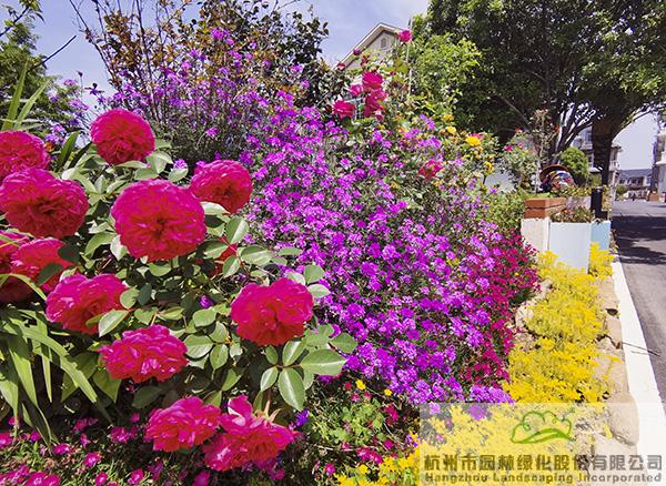 亚洲精品白浆高清久久久久久