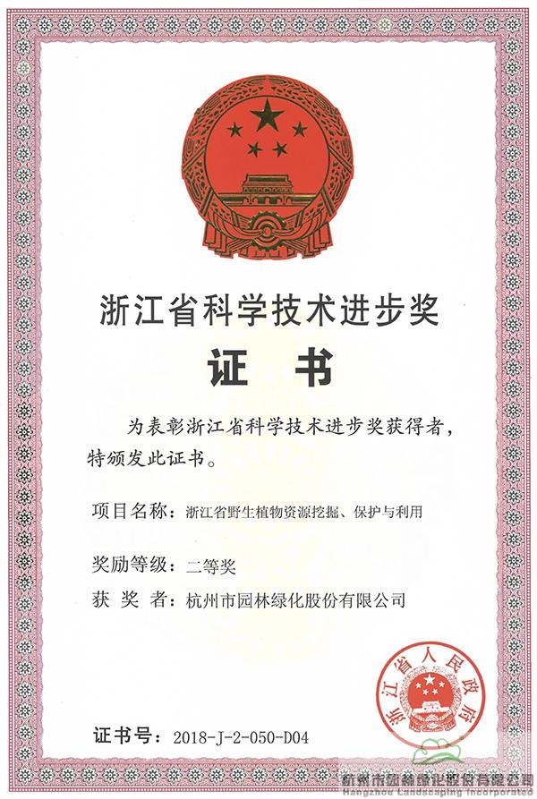 亚洲精品白浆高清久久久久久