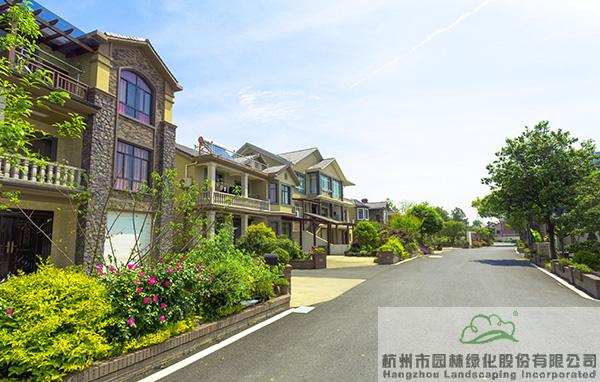 亚洲精品白浆高清久久久久久