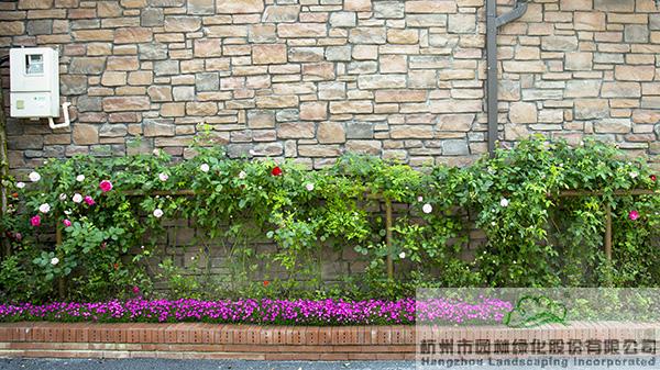 亚洲精品白浆高清久久久久久