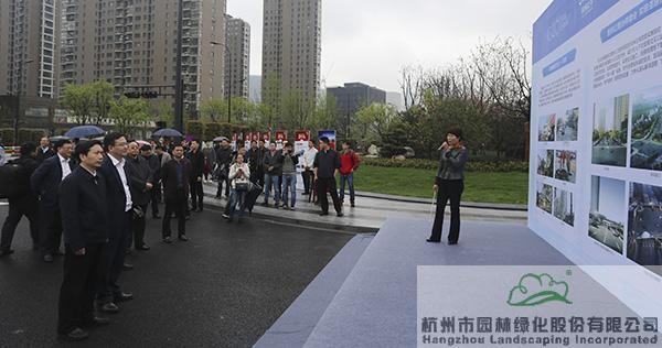 亚洲精品白浆高清久久久久久