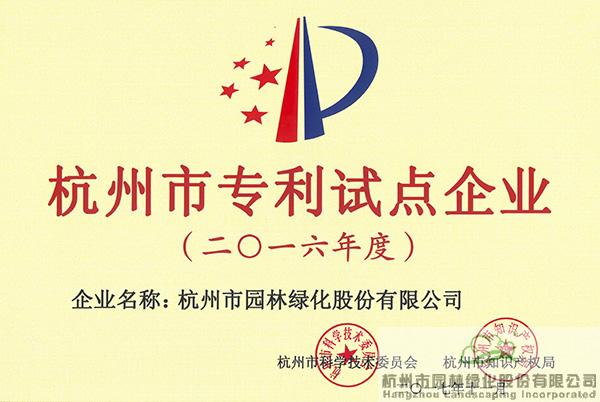 亚洲精品白浆高清久久久久久