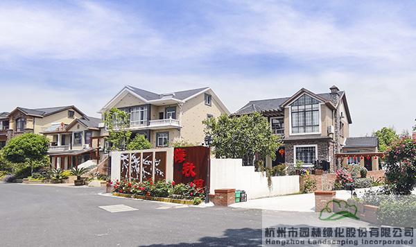 亚洲精品白浆高清久久久久久