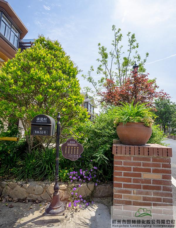 亚洲精品白浆高清久久久久久