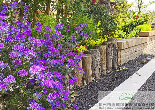 亚洲精品白浆高清久久久久久