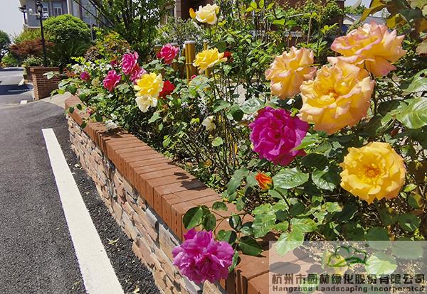 亚洲精品白浆高清久久久久久