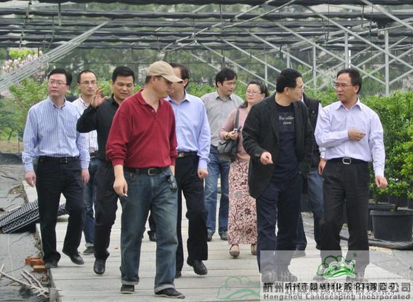 亚洲精品白浆高清久久久久久