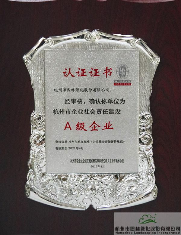 亚洲精品白浆高清久久久久久