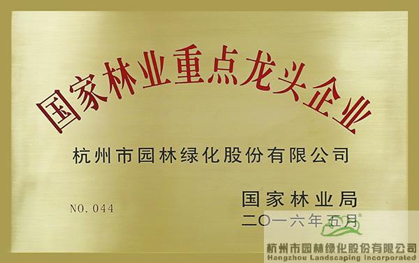 亚洲精品白浆高清久久久久久