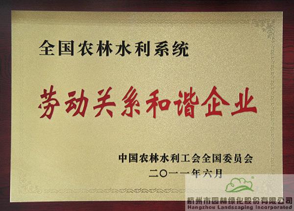 亚洲精品白浆高清久久久久久