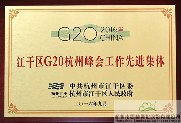 亚洲精品白浆高清久久久久久