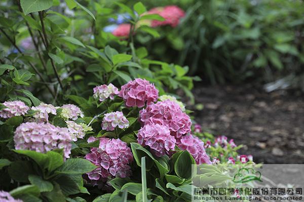 亚洲精品白浆高清久久久久久