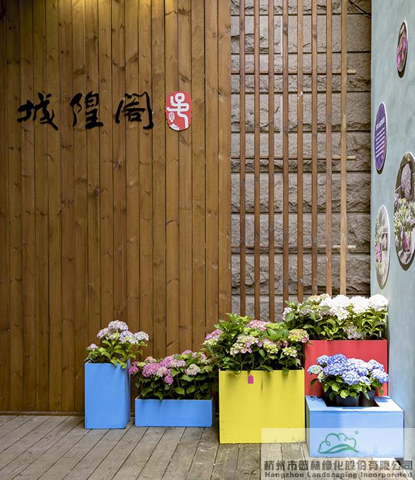 亚洲精品白浆高清久久久久久