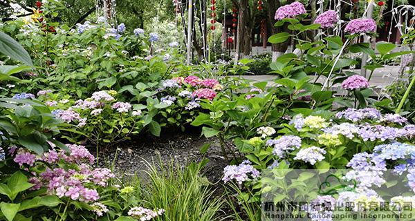 亚洲精品白浆高清久久久久久