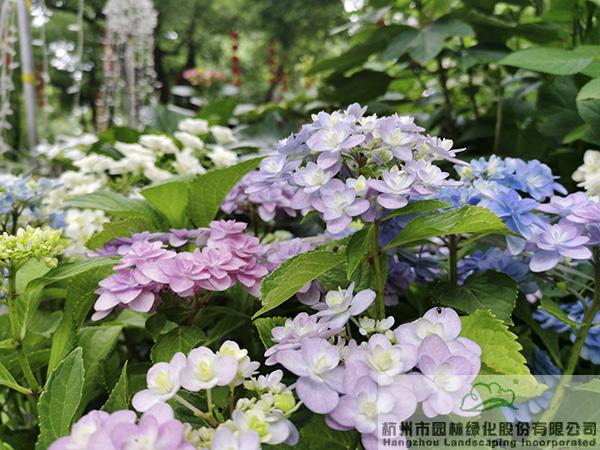 亚洲精品白浆高清久久久久久