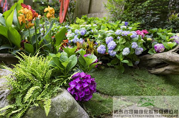 亚洲精品白浆高清久久久久久